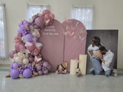 mixable-moments-little-butterfly